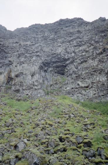 A view upward from the valley floor inside sbyrgi to the top of the valley walls