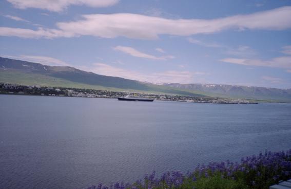 View of Akureyri from over the water